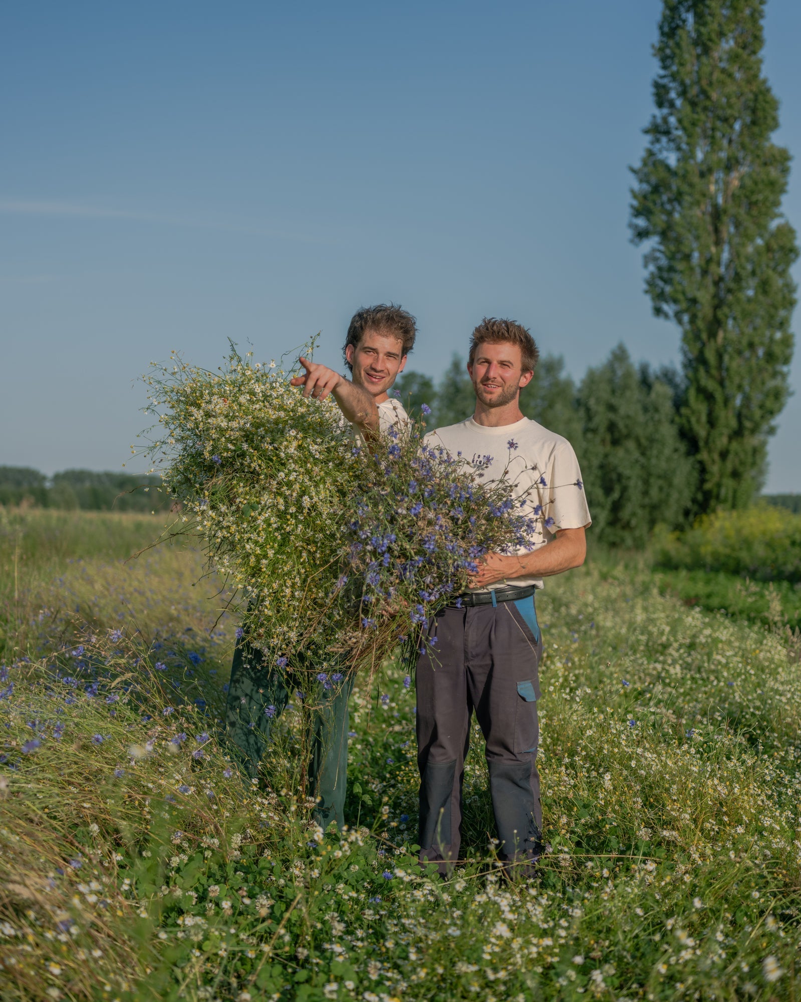 Vacature: accountmanager sales