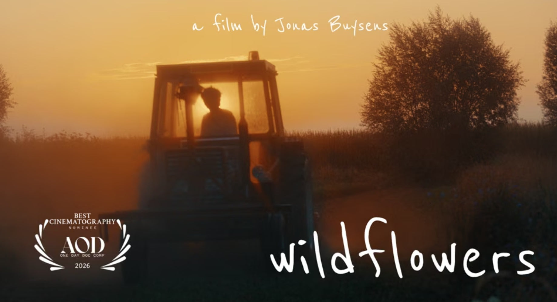 Wildflowers: korte docu over het verhaal van Brecht
