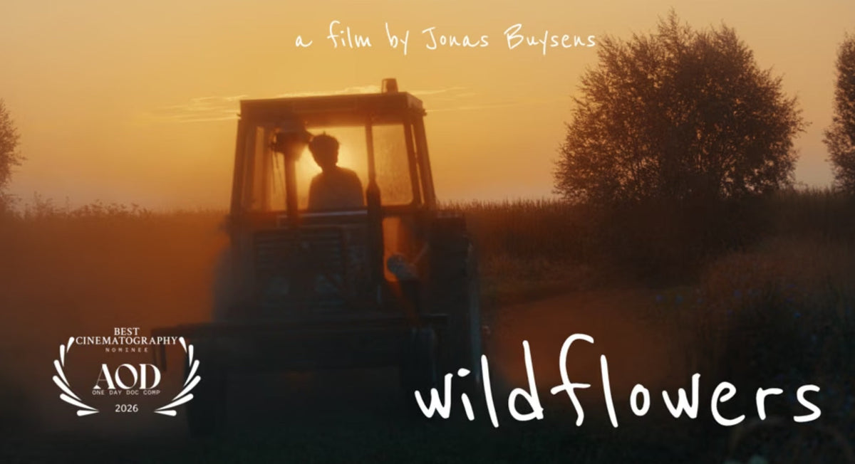 Wildflowers: korte docu over het verhaal van Brecht