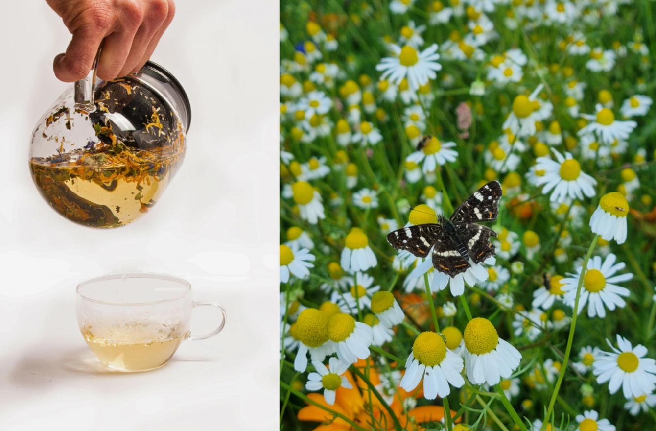 Stage: Online natuur herstellen (MARKETING)