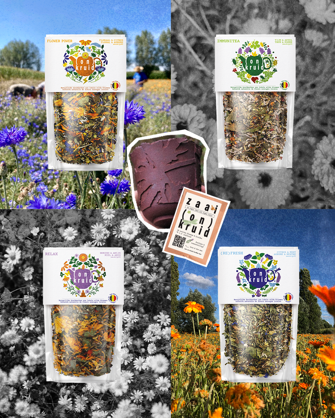 SEIZOENSABONNEMENT - 60 m²