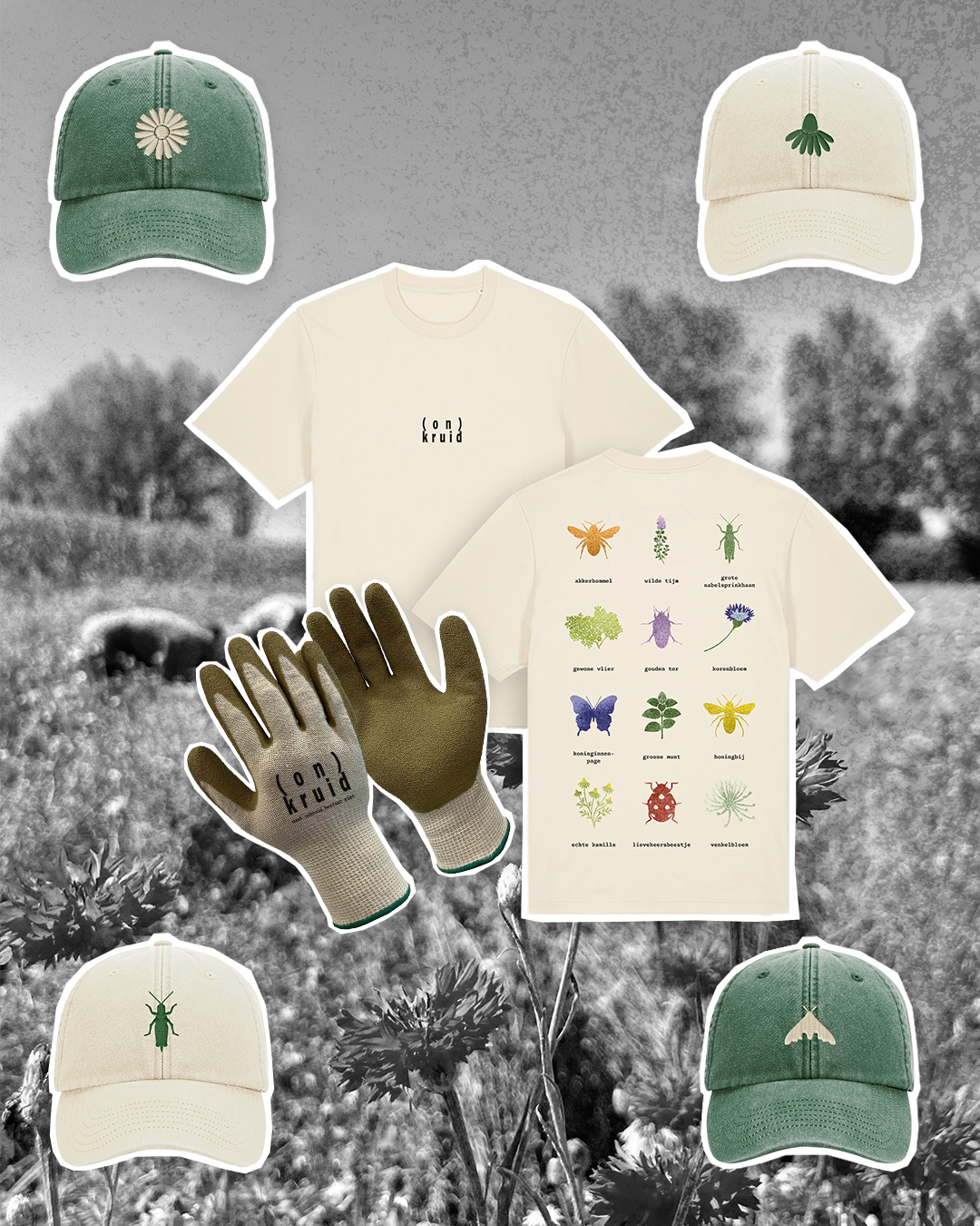 DRAAG (ON)KRUID (UIT) - 100 m²