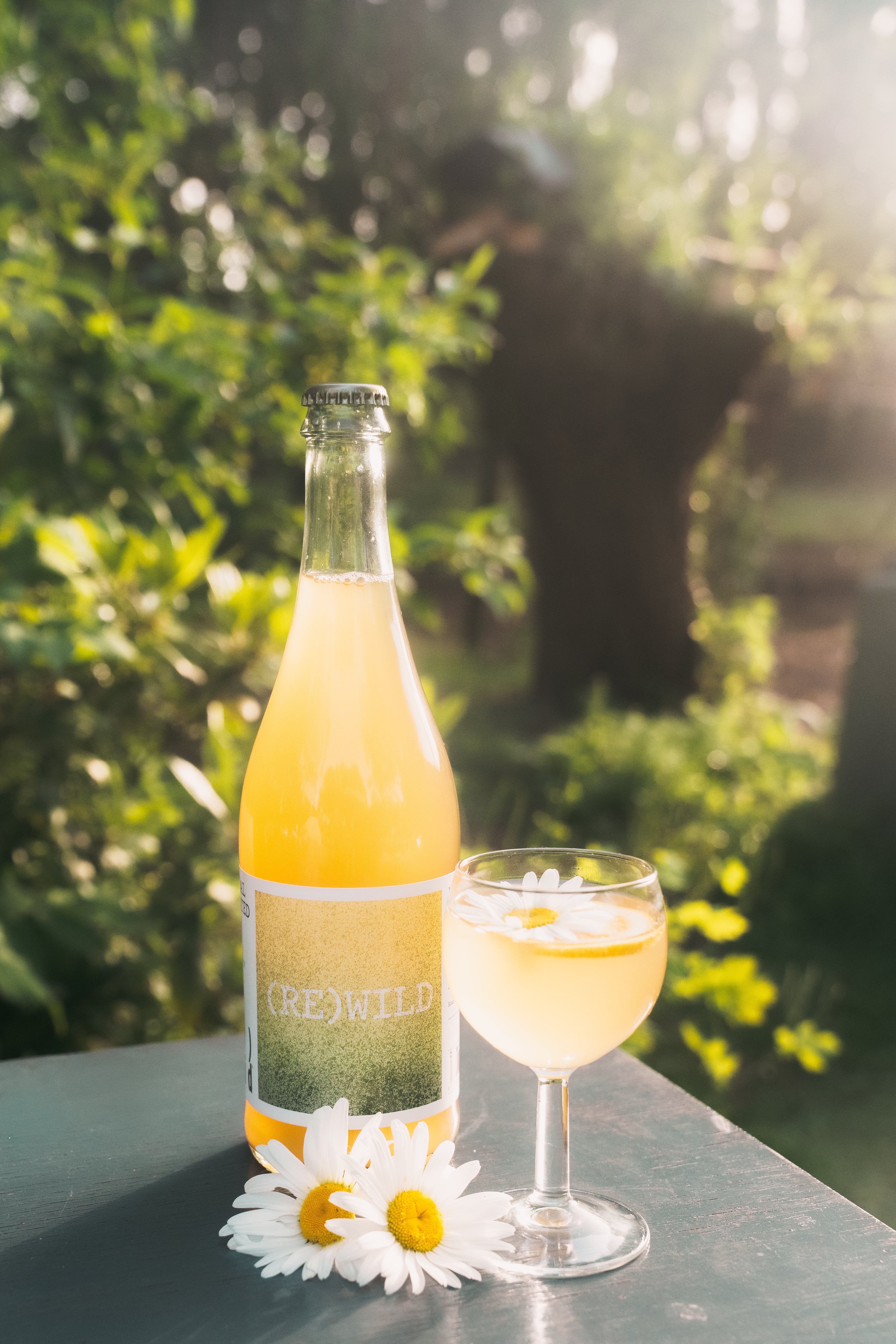 (RE)WILD natural fermented tea