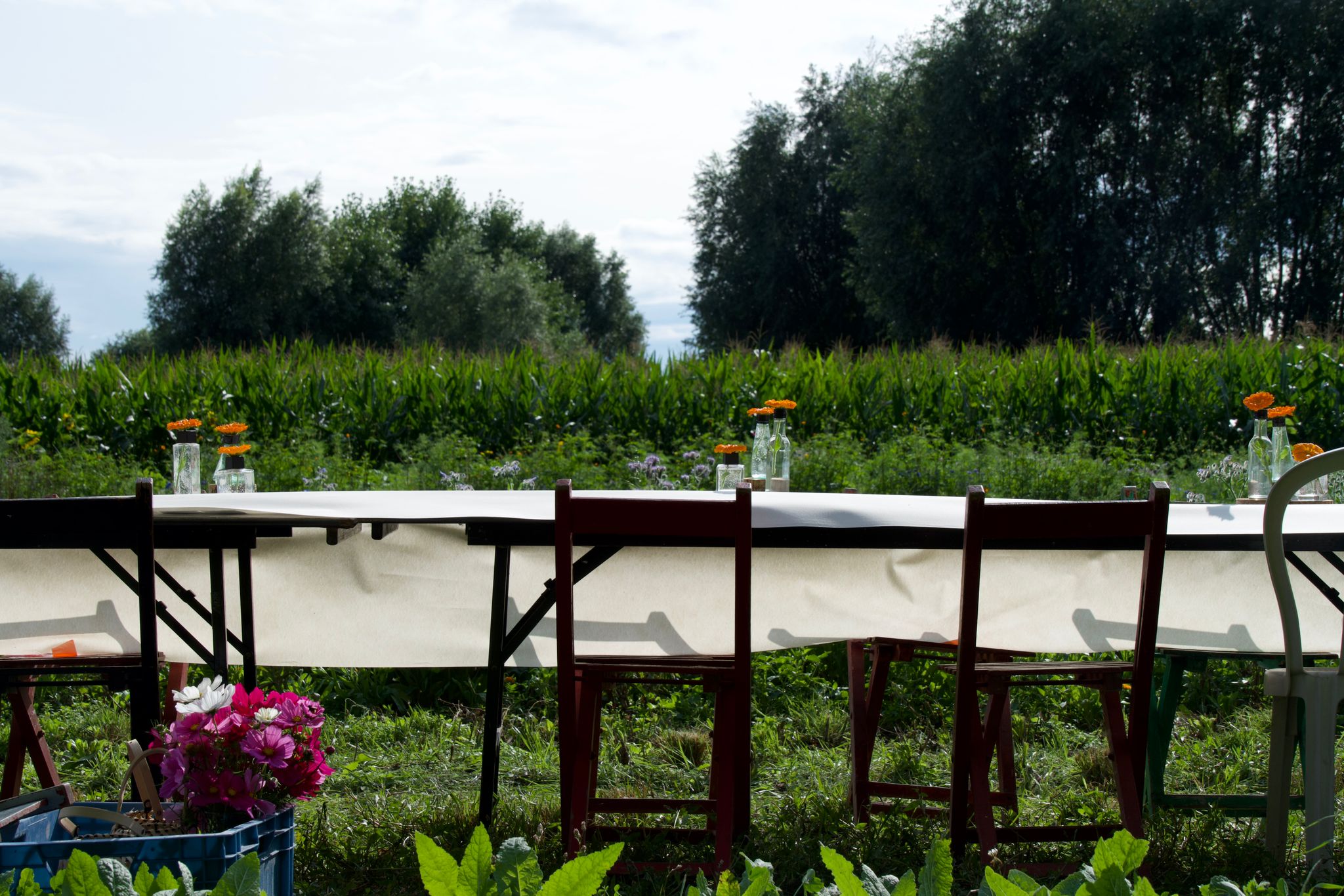 ETENTJE TUSSEN HET (ON)KRUID - 125 m²