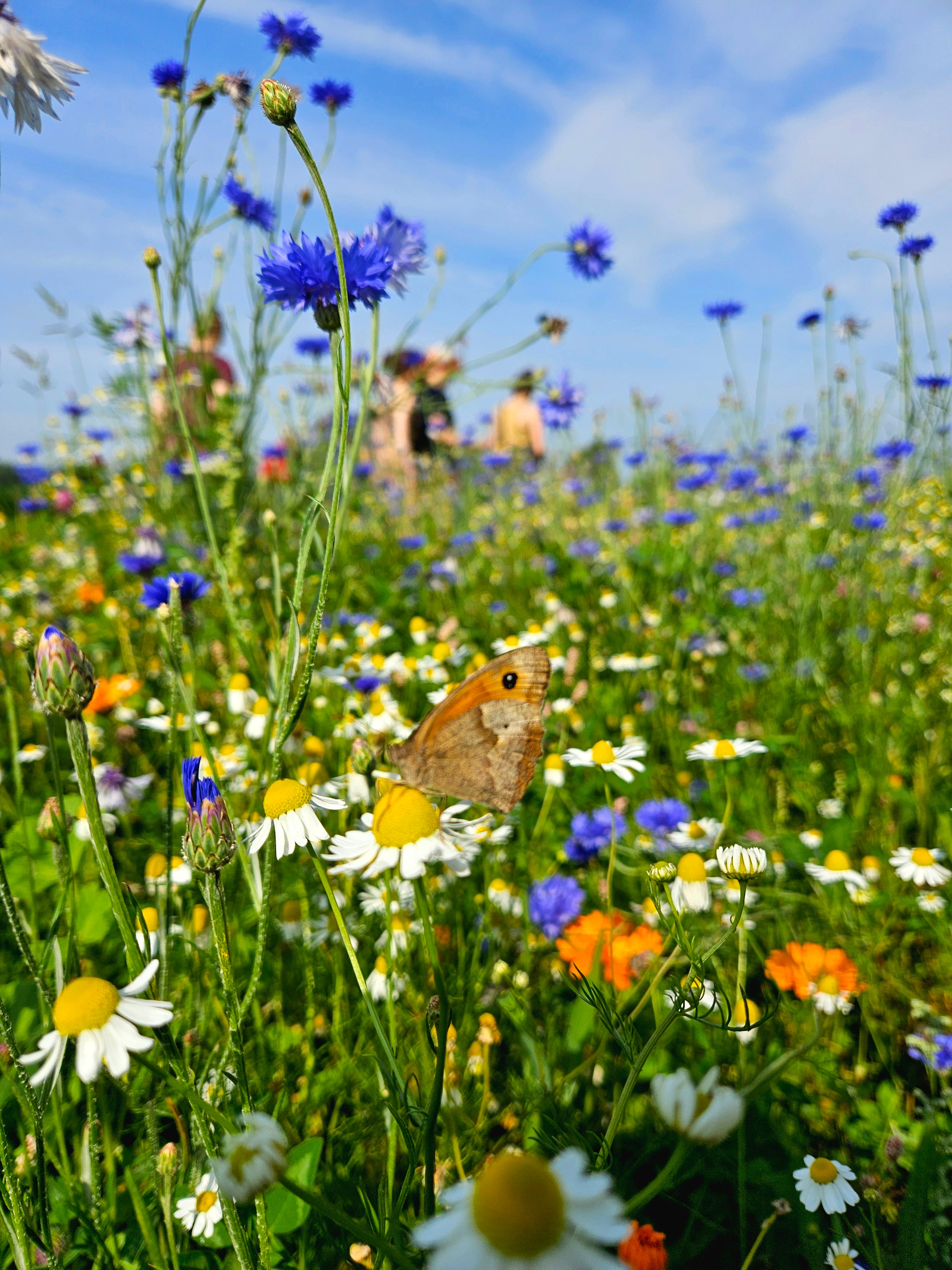 STEUN MET FISCAAL ATTEST - xxx m²